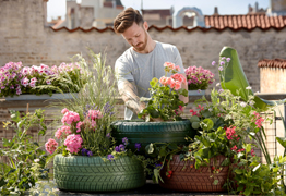 Gardening