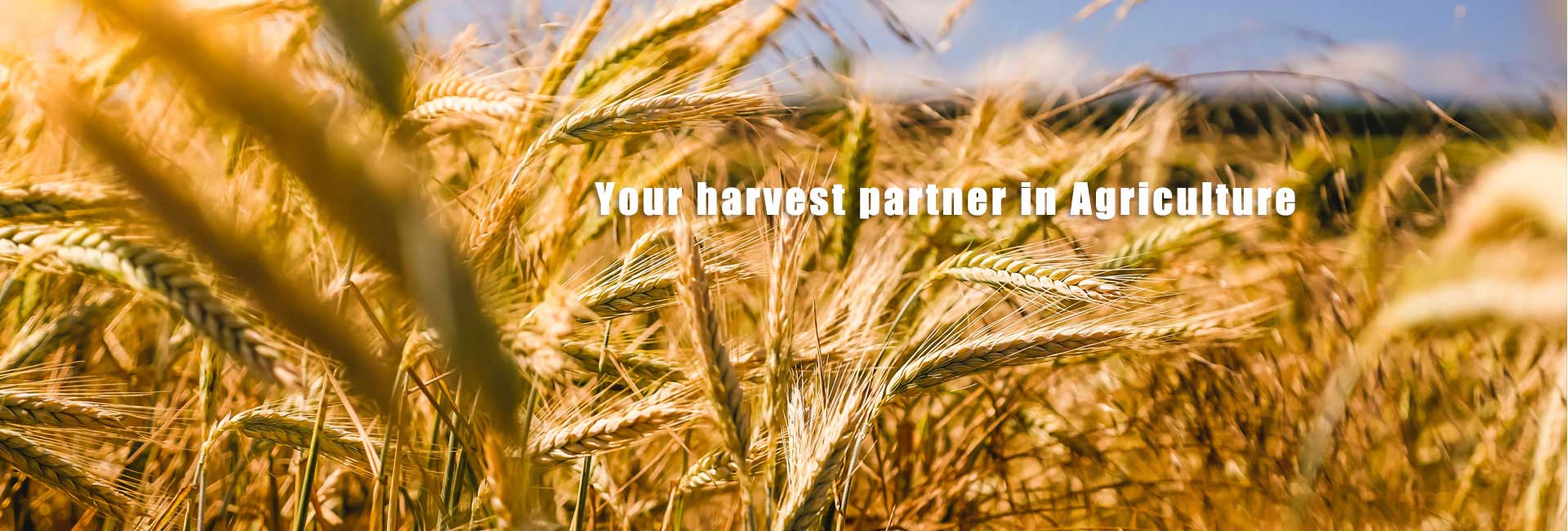 Harvest your wonderful life